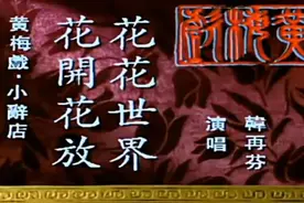 每日戏曲（04）||《黄梅戏大全》(高清版)_下部图片