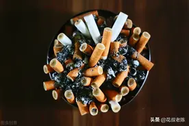 烟头、辣椒、蚊香放进锅里煮，比杀虫剂还厉害，花卉植物虫不见图片