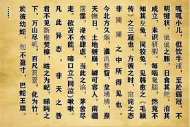 10年江苏高考755字作文，令阅卷老师晦涩难懂，专家写4页文稿批注图片