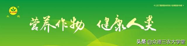 鍖楁柟閬块洦妫氶槼鍏夌帿鐟拌悓鑺借嚦鑺卞簭鍒嗙鏈熺鐞嗘妧鏈紙涓嬶級