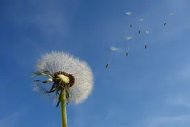 有这样同父异母的哥哥，我感到很悲哀图片