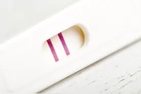 整个孕期要做多少次孕检呢？费用多少呢？图片