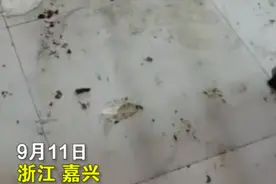 女孩租住公寓后房间满是垃圾粪便，清洁人员：房间很小，两个阿姨打扫了2小时，清出16袋垃圾图片