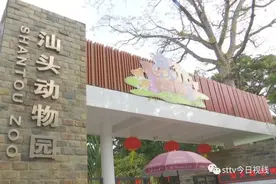 硬虎会直！虎年话“虎”图片