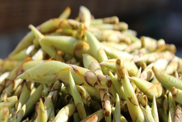 鐢鏈夐挶娌￠挶锛屽缓璁腑鑰佸勾浜猴細5鏉€滈珮閿岃尪鈥濆父鍠濓紝钀ュ吇瓒宠韩浣撳ソ