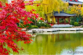 西安人过年去哪玩？这些景区逛起来图片