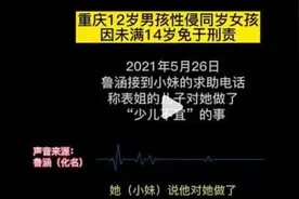 未满12岁男孩多次性侵同龄小姨：他对我做“少儿不宜”的事情图片