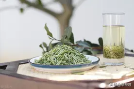 春天更适合喝什么茶，好的春茶有哪些？图片