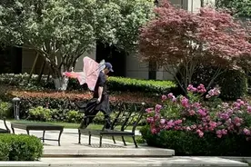 吴京陪谢楠回娘家，独自带儿子公园玩耍，累了坐地上休息好接地气图片