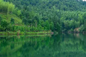 最美诗词里的中国颜色——春天图片