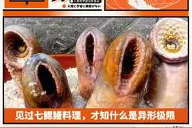 见过七鳃鳗料理，才知什么是异形极限图片