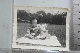 福建夫妻收养了一个女弃婴，长大后带回男朋友，父母一看却傻眼了图片