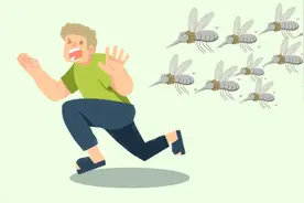 害怕蚊虫叮咬？这篇攻略请收好！图片