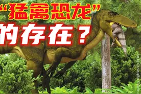 古生物学家在南美洲发现最大猛禽恐龙？图片