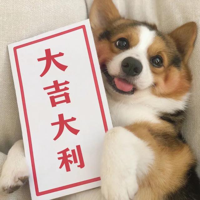 ������Ȧ�Ź����ز� | ����Ȧ����ͼ