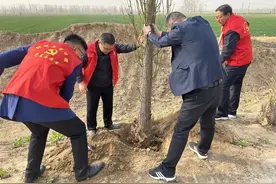 三月学雷锋⎮董口镇开展植树节活动 “志愿红”播种“生态绿”图片