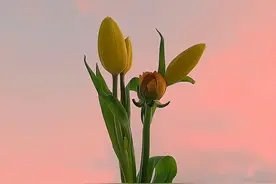 你的“脸”上，藏着你一生的风水图片