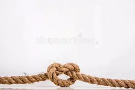 柳传志是企业家，不是科研人员图片