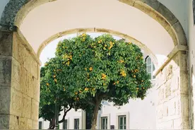 见了一面后，暧昧一个半月的相亲对象突然不主动了，为什么？图片