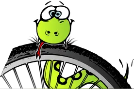 从四肢到无腿：探索蛇类进化之谜图片