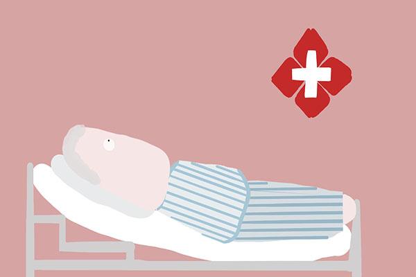 海参能长期吃吗 2026年吃海参有什么功效