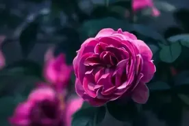 生活中，面子是活给别人看的，而里子，才是活给自己的。图片