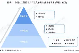 【行业深度】洞察2023：中国人工智能芯片行业竞争格局及市场份额图片