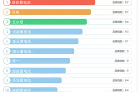 「汽车之家」十年越野穿越老司机；蓄电池的品牌排行和电池的选用图片