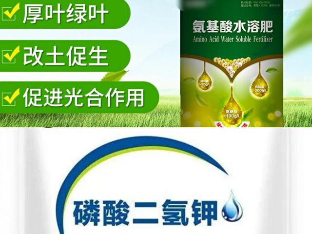 氨基酸水溶肥和磷酸二氢钾有啥区别？哪个比较好？老农告诉你答案