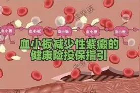 血小板减少性紫癜的健康险投保指引图片