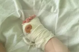 因游客和老虎的“亲密接触”，克里米亚野生动物园的传奇园长被判监禁图片