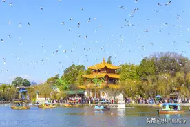 来昆明后才明白，为什么那么多人来养老！冬天不冷，物美价廉图片