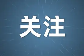 企业在电子税务局变更法定代表人，再也不用跑税务大厅了图片