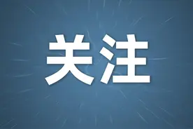 企业在电子税务局变更法定代表人，再也不用跑税务大厅了图片