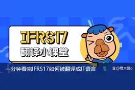 一分钟看完IFRS17如何被翻译成IT语言图片