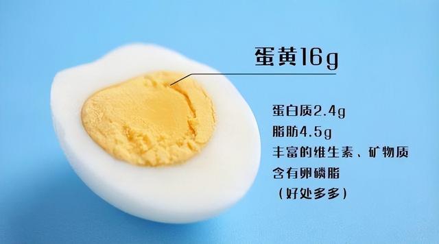 喝蛋白质粉与吃鸡蛋都能补充蛋白质，那么蛋白质粉的意义何在？