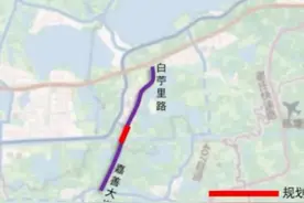 分流G318！上海连通青浦和嘉善，这条双向6车道道路已规划图片