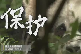 文化和自然遗产日 ｜ 守护无价珍宝 共赴美好未来图片