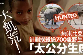 人穷了有多卑微！纳米比亚：土地干旱吃不上饭，猎杀大象河马充饥图片