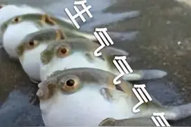 气炸了！天津又惊现“不要本地人”？还有人说我们奸懒馋滑油…图片