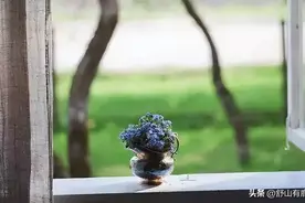 一个人的“贫寒之相”，藏在家庭的这3个细节中，要留心图片