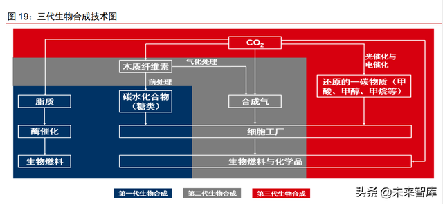 合成生物行业深度报告：合成生物学蓬勃发展，市场空间广阔