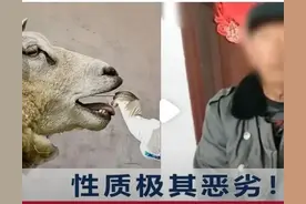 “给羊做核酸”事件收场：多人被处分图片