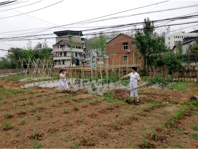 四川省民生研究会新媒体中心-官网