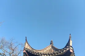 教师寒暑假研修形式远大于意义，一直在“继续”，从未受“教育”图片