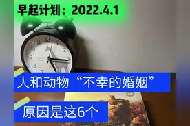 人和动物“不幸的婚姻”，原因是这6个图片