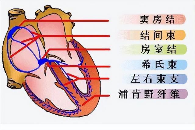 短pr综合征指的是什么？