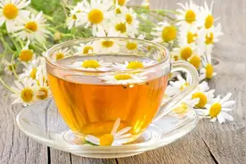 上了年纪要忌菊花茶？建议：牢记“2喝2不喝”，清凉好喝有营养图片