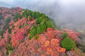 徒步小五台-五道梁-尖山-子午峪，西安秋季最美的户外路线之一图片