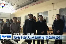 柳林高家沟乡组织人大代表开展集中视察调研活动图片